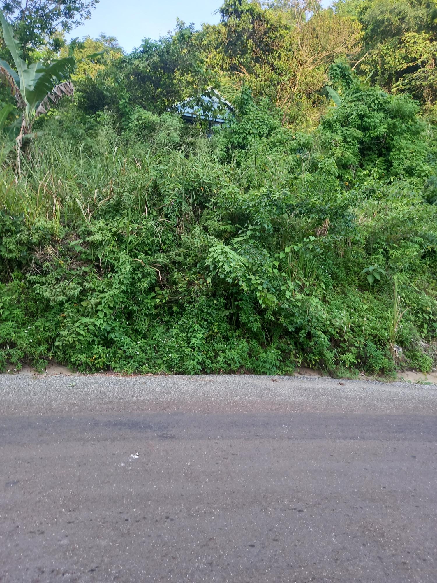 Second image of 82 Cedar Valley in Belvedere, St. Andrew, Jamaica - property is For Sale