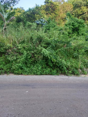 Second image of 82 Cedar Valley in Belvedere, St. Andrew, Jamaica - property is For Sale