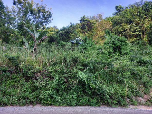Third image of 82 Cedar Valley in Belvedere, St. Andrew, Jamaica - property is For Sale
