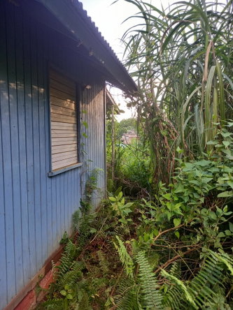Fourth image of 82 Cedar Valley in Belvedere, St. Andrew, Jamaica - property is For Sale