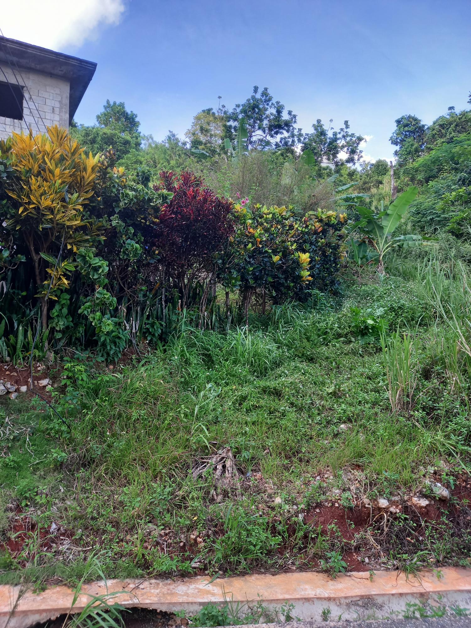 Fifth image of 82 Cedar Valley in Belvedere, St. Andrew, Jamaica - property is For Sale