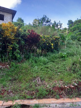 Fifth image of 82 Cedar Valley in Belvedere, St. Andrew, Jamaica - property is For Sale