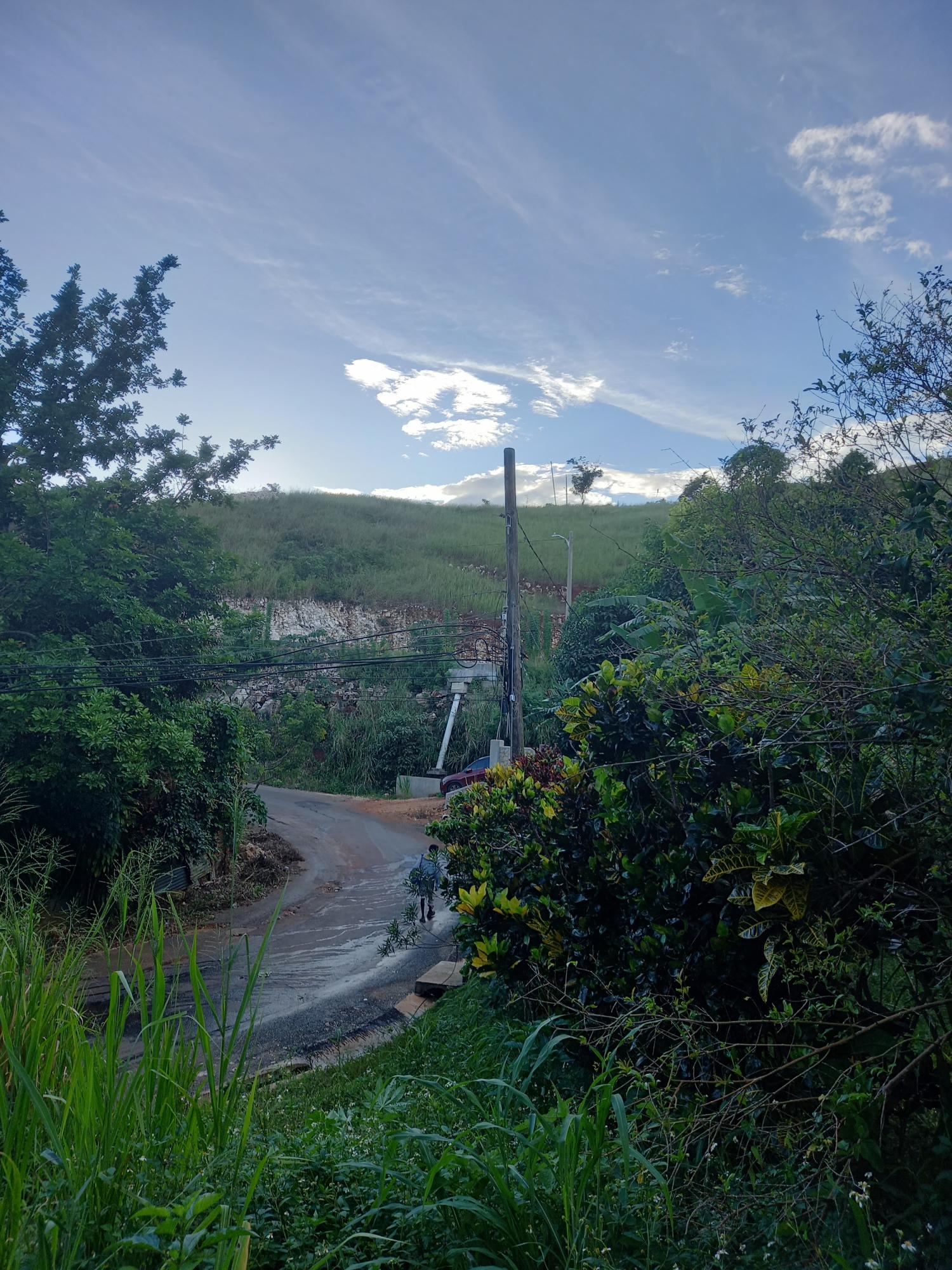Sixth image of 82 Cedar Valley in Belvedere, St. Andrew, Jamaica - property is For Sale