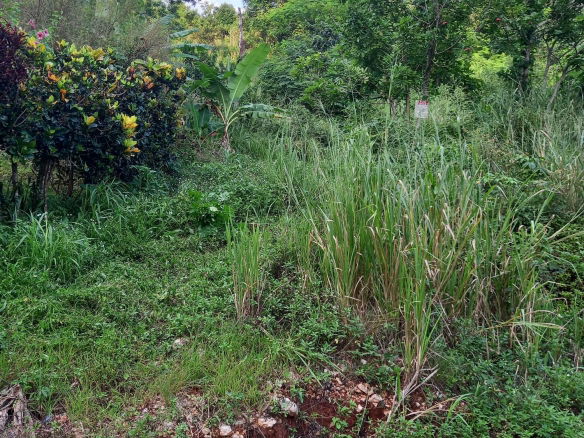 First image of 82 Cedar Valley in Belvedere, St. Andrew, Jamaica - property is For Sale