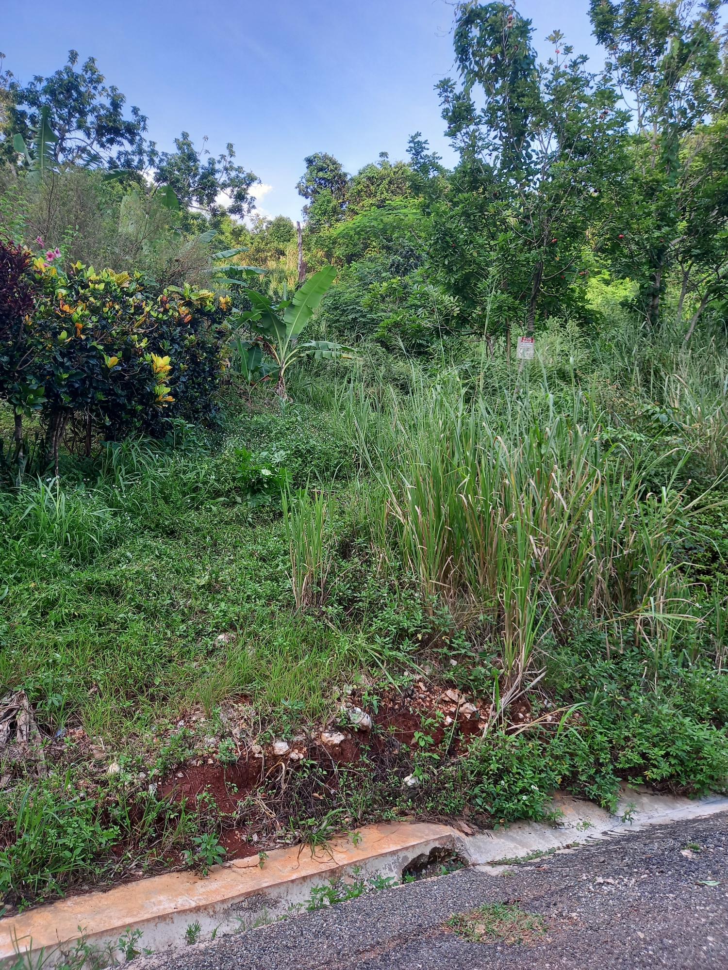 First image of 82 Cedar Valley in Belvedere, St. Andrew, Jamaica - property is For Sale