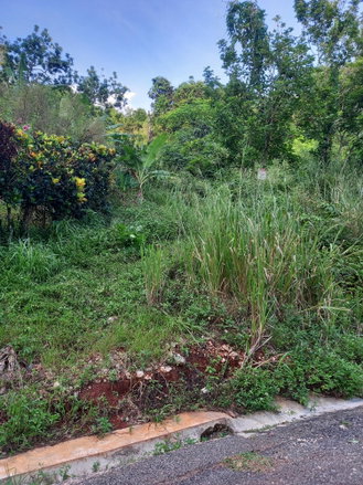 First image of 82 Cedar Valley in Belvedere, St. Andrew, Jamaica - property is For Sale