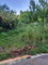 First image of 82 Cedar Valley in Belvedere, St. Andrew, Jamaica - property is For Sale
