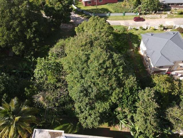 Second image of Lot 16 Bloomsville in GREENVALE L.S, Manchester, Jamaica - property is For Sale