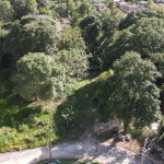 First image of Lot 16 Bloomsville in GREENVALE L.S, Manchester, Jamaica - property is For Sale