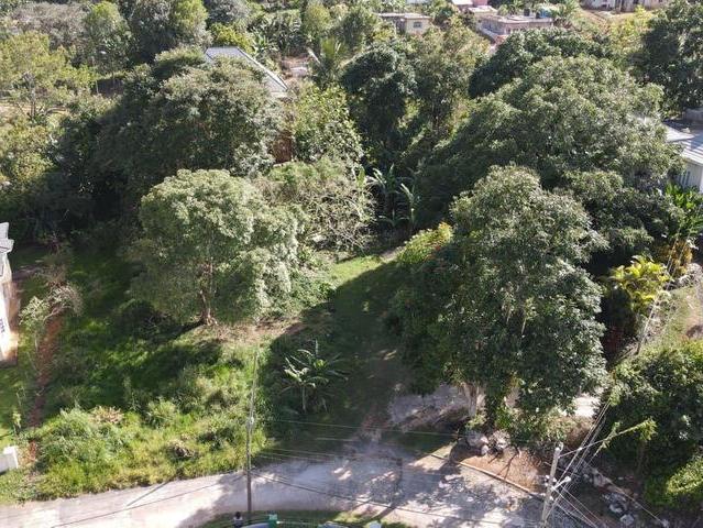 First image of Lot 16 Bloomsville in GREENVALE L.S, Manchester, Jamaica - property is For Sale