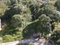 First image of Lot 16 Bloomsville in GREENVALE L.S, Manchester, Jamaica - property is For Sale
