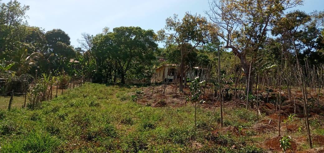 Second image of Lot 2 Mckinley Road in Mandeville, Manchester, Jamaica - property is For Sale