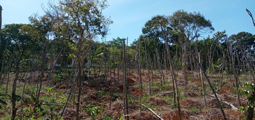 Third image of Lot 2 Mckinley Road in Mandeville, Manchester, Jamaica - property is For Sale