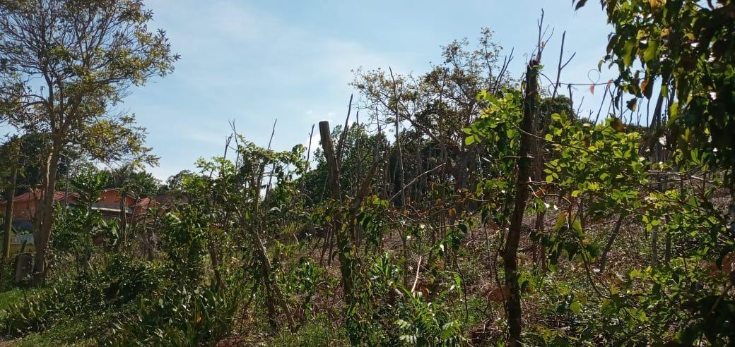 Fifth image of Lot 2 Mckinley Road in Mandeville, Manchester, Jamaica - property is For Sale