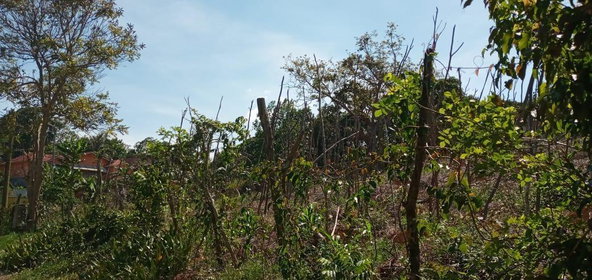 Fifth image of Lot 2 Mckinley Road in Mandeville, Manchester, Jamaica - property is For Sale