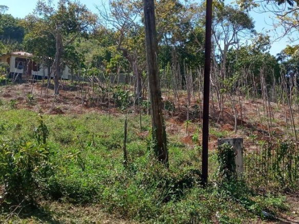 First image of Lot 2 Mckinley Road in Mandeville, Manchester, Jamaica - property is For Sale