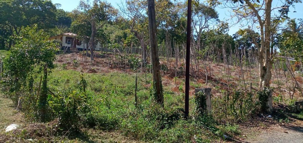 First image of Lot 2 Mckinley Road in Mandeville, Manchester, Jamaica - property is For Sale