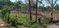 First image of Lot 2 Mckinley Road in Mandeville, Manchester, Jamaica - property is For Sale