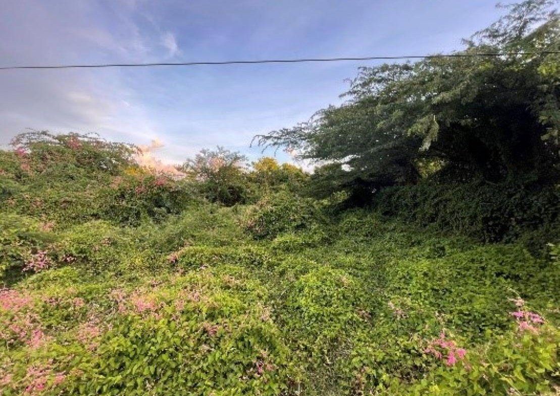 Second image of 59 Vincent Street in Lionel Town, Clarendon, Jamaica - property is For Sale