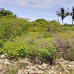 First image of 25 Jackson Crescent in May Pen, Clarendon, Jamaica - property is For Sale