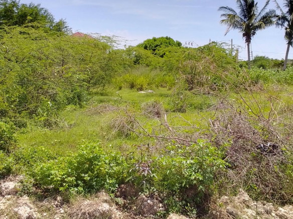 First image of 25 Jackson Crescent in May Pen, Clarendon, Jamaica - property is For Sale