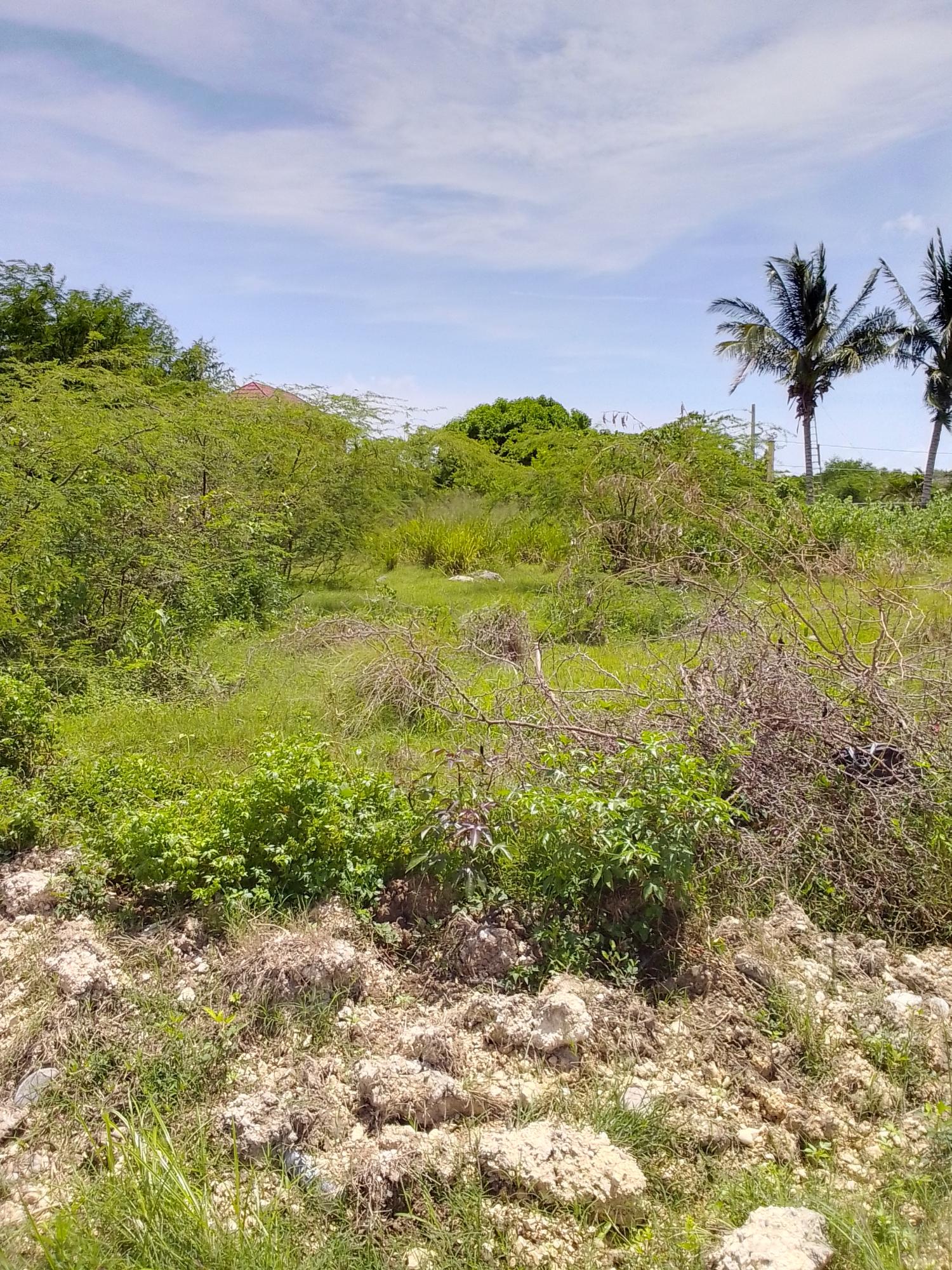 First image of 25 Jackson Crescent in May Pen, Clarendon, Jamaica - property is For Sale