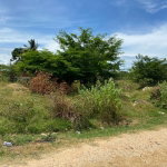 First image of Denbigh Crescent, Clarend in Denbigh, Clarendon, Jamaica - property is For Sale