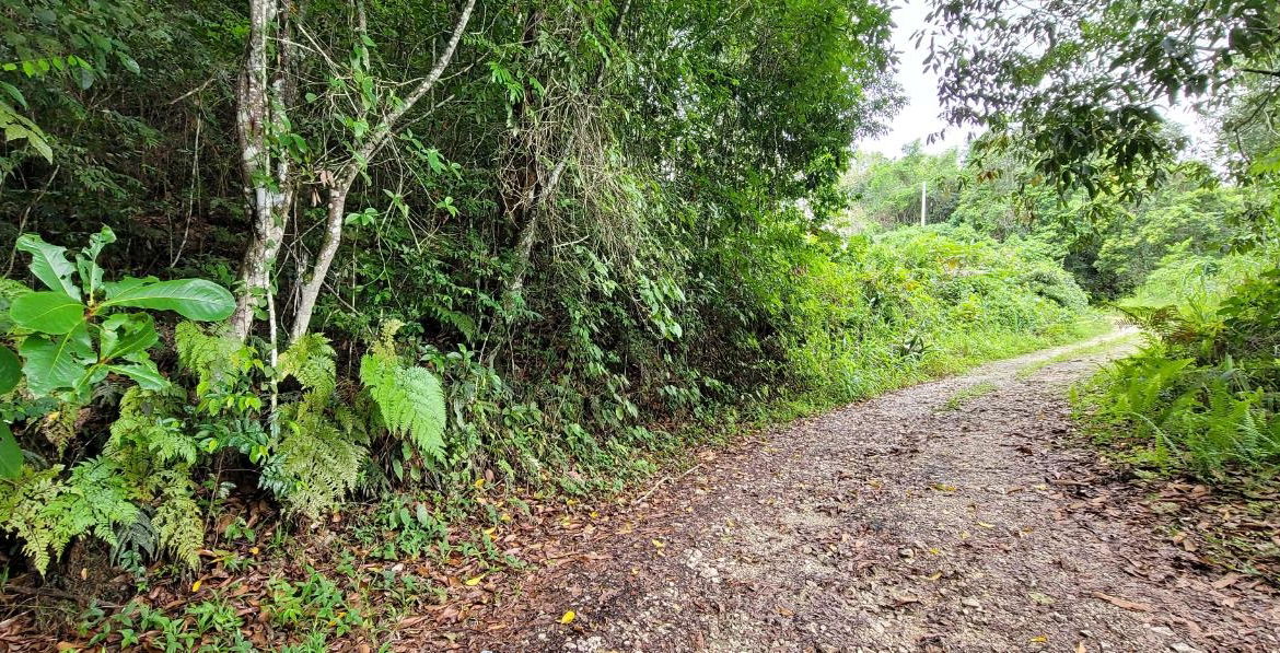 First image of 85 Coopers Hill in Kingston 19, St. Andrew, Jamaica - property is For Sale