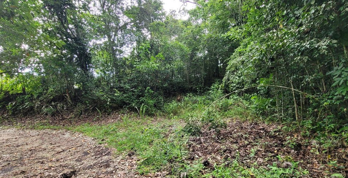 Third image of 85 Coopers Hill in Kingston 19, St. Andrew, Jamaica - property is For Sale