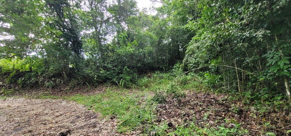 Third image of 85 Coopers Hill in Kingston 19, St. Andrew, Jamaica - property is For Sale