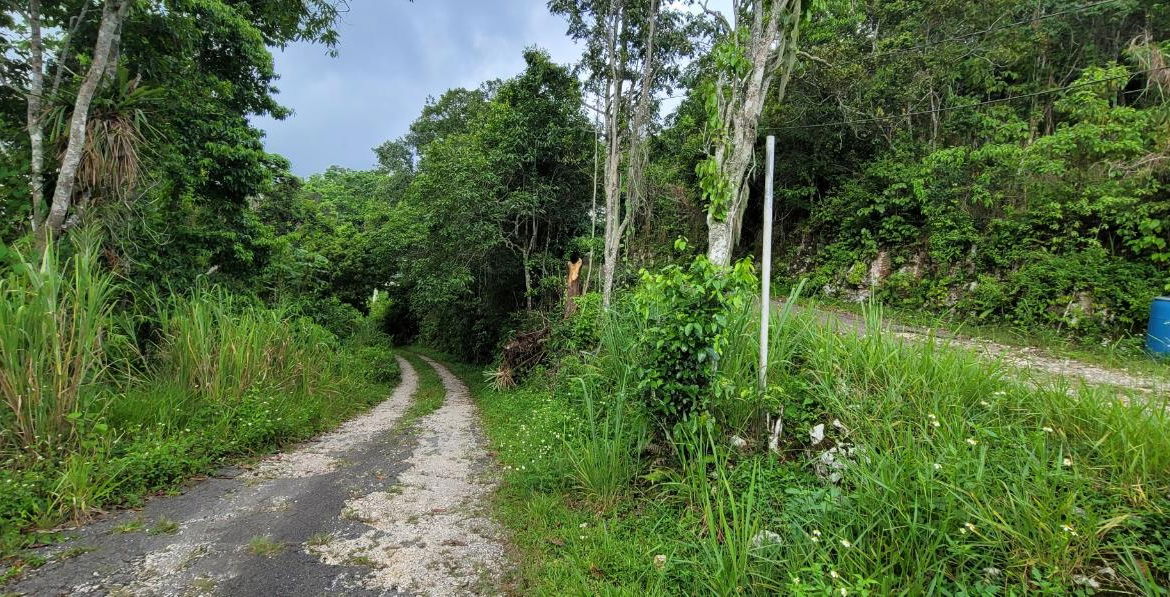 Fifth image of 85 Coopers Hill in Kingston 19, St. Andrew, Jamaica - property is For Sale