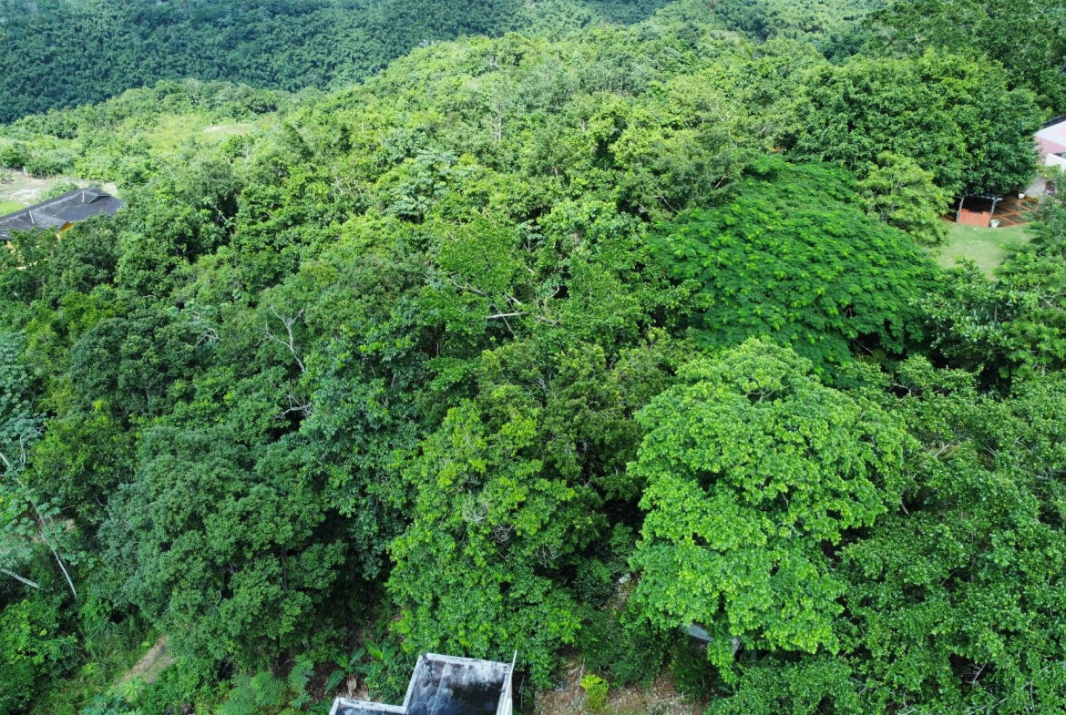 Seventh image of 85 Coopers Hill in Kingston 19, St. Andrew, Jamaica - property is For Sale