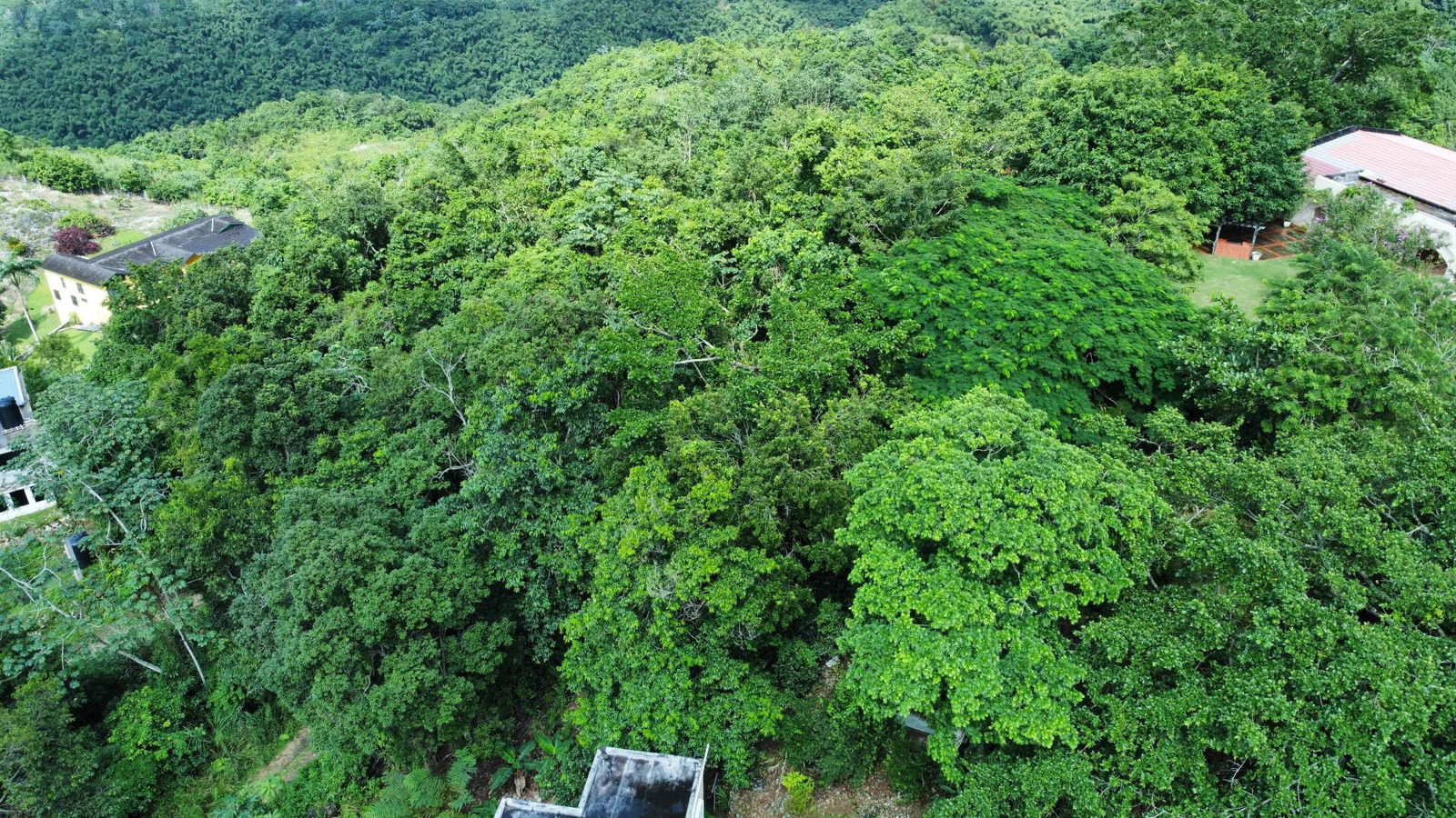 Seventh image of 85 Coopers Hill in Kingston 19, St. Andrew, Jamaica - property is For Sale