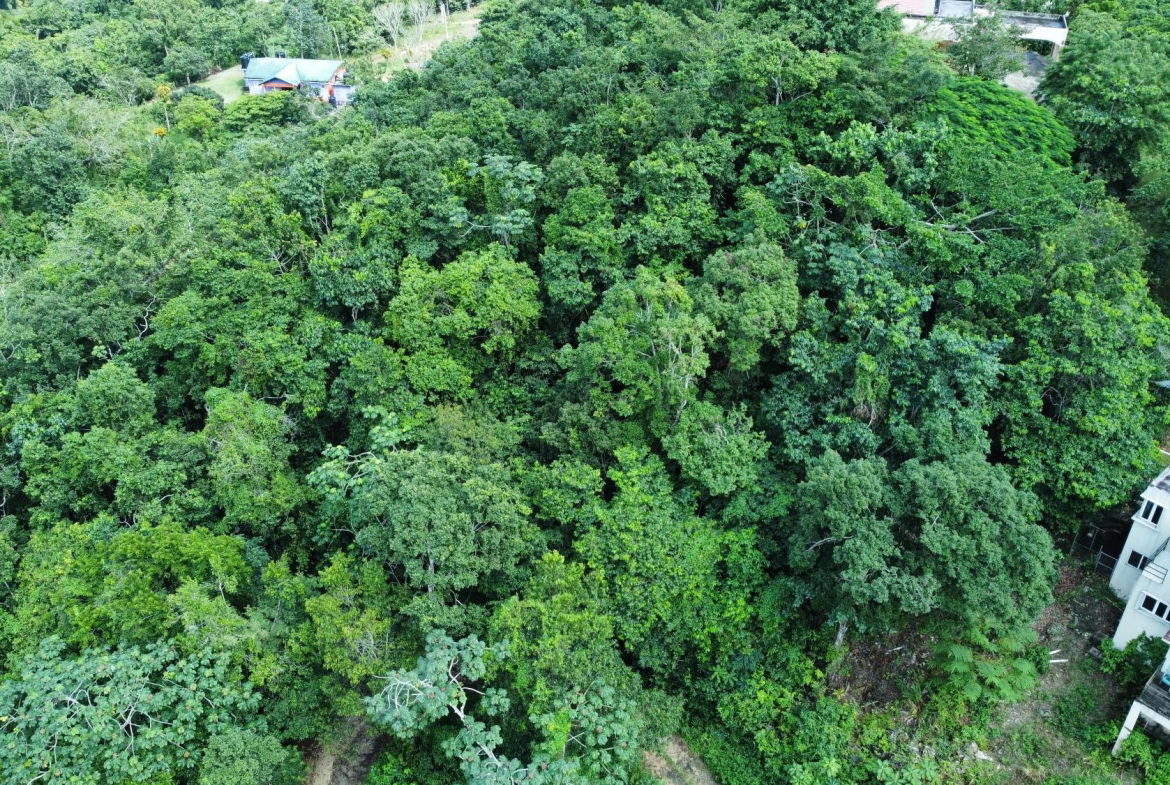 Eighth image of 85 Coopers Hill in Kingston 19, St. Andrew, Jamaica - property is For Sale