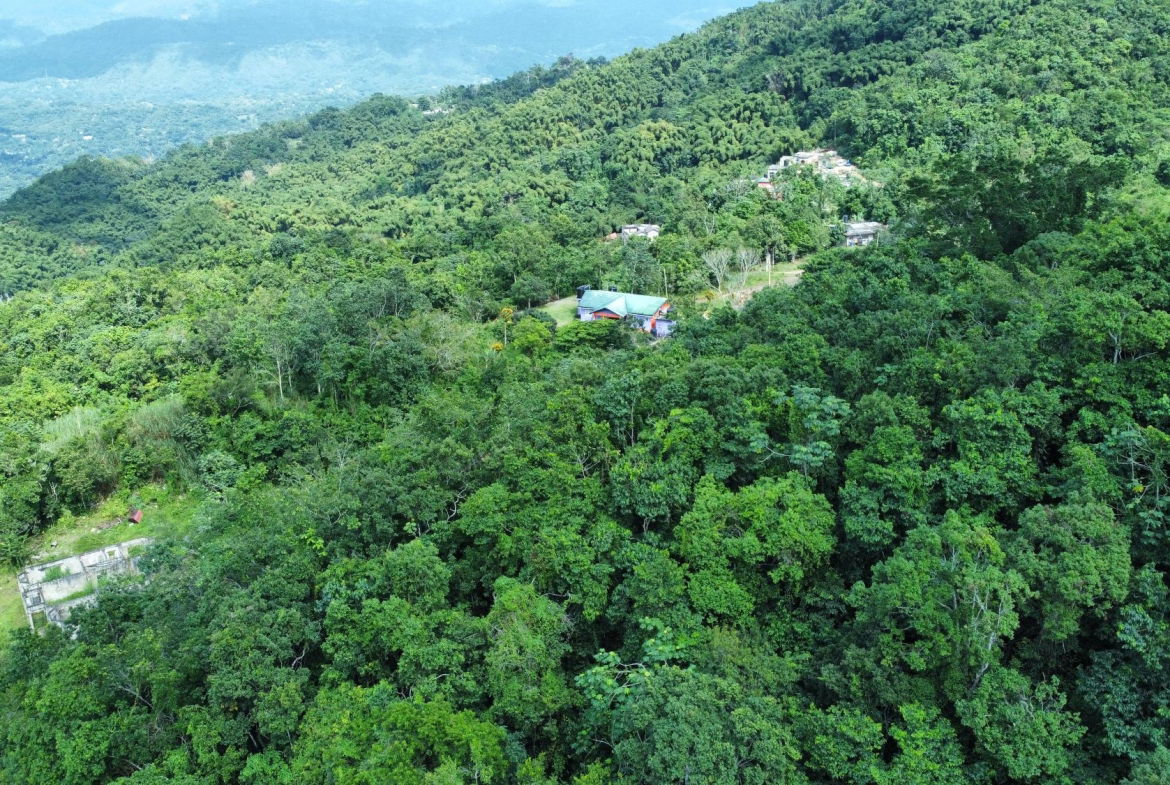 Tenth image of 85 Coopers Hill in Kingston 19, St. Andrew, Jamaica - property is For Sale