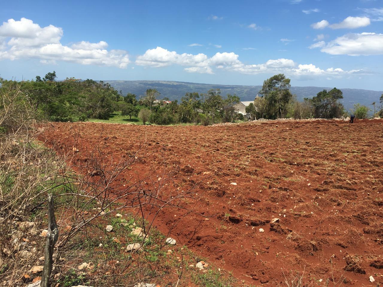 Third image of Lot 6 Part of Fairfield in Fairfield, Manchester, Jamaica - property is For Sale