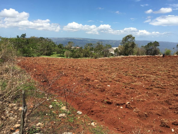 Third image of Lot 6 Part of Fairfield in Fairfield, Manchester, Jamaica - property is For Sale