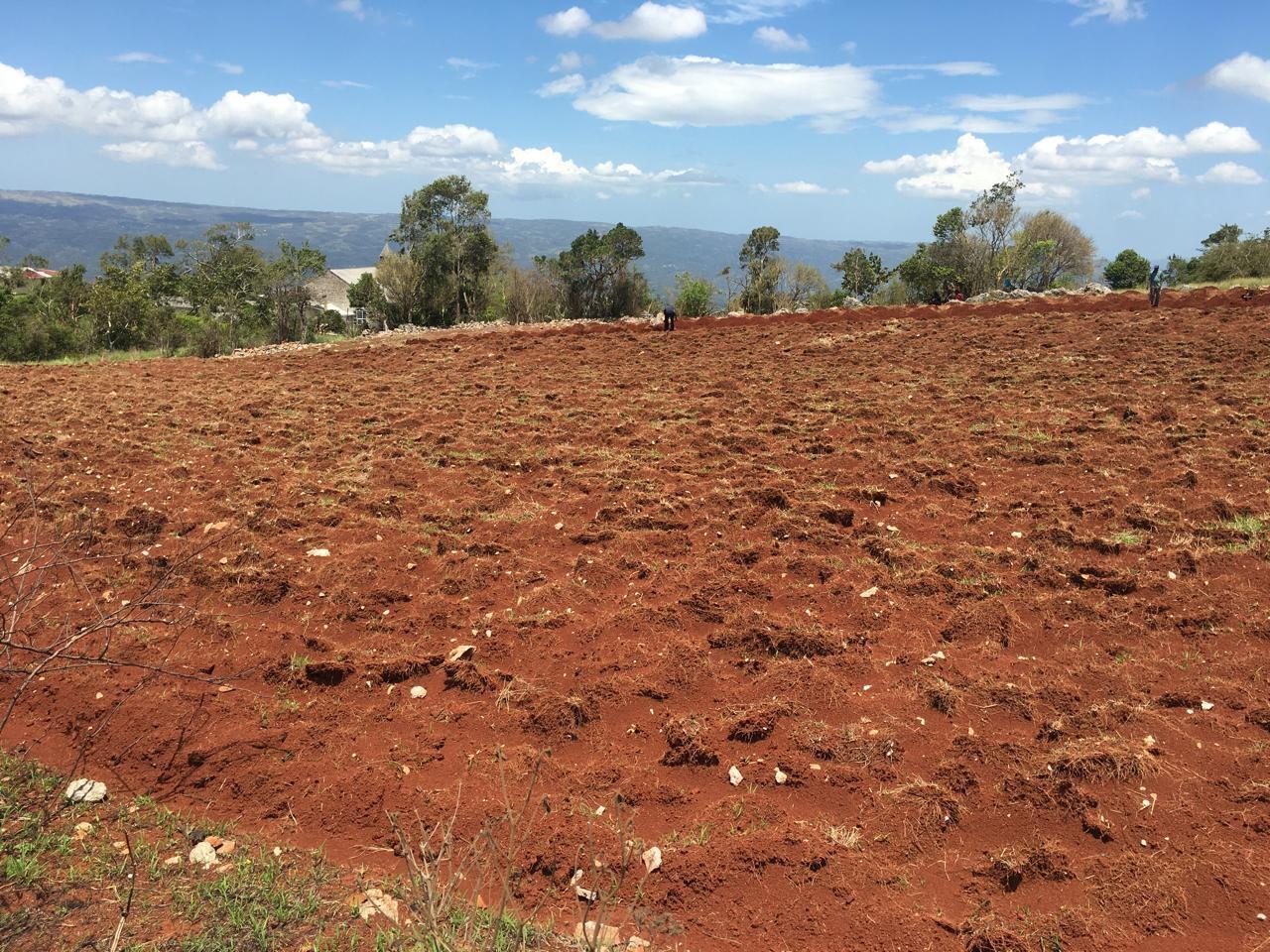 Fifth image of Lot 6 Part of Fairfield in Fairfield, Manchester, Jamaica - property is For Sale