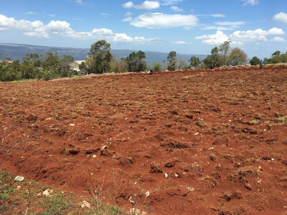 Fifth image of Lot 6 Part of Fairfield in Fairfield, Manchester, Jamaica - property is For Sale