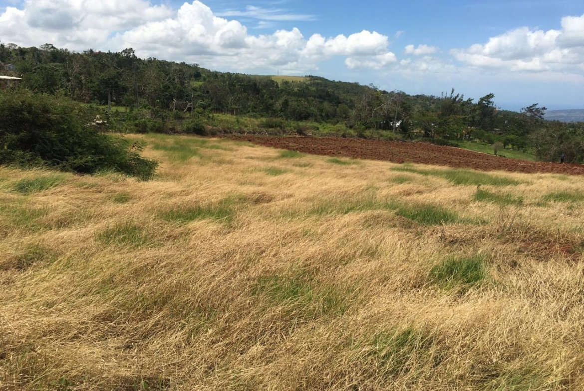 Sixth image of Lot 1 Part of Fairfield in Fairfield, Manchester, Jamaica - property is For Sale