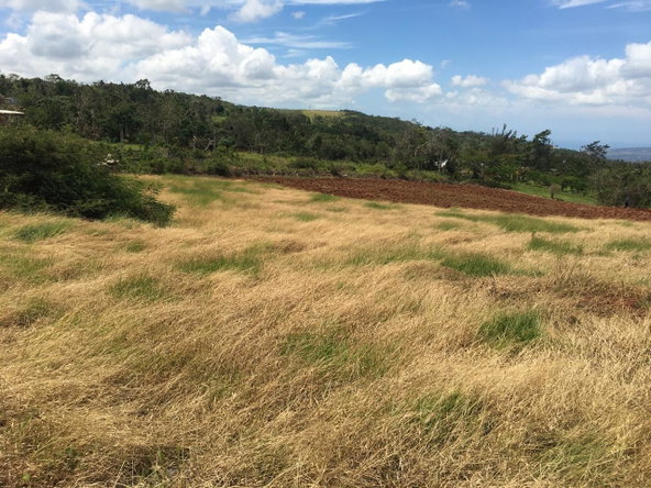 Sixth image of Lot 1 Part of Fairfield in Fairfield, Manchester, Jamaica - property is For Sale