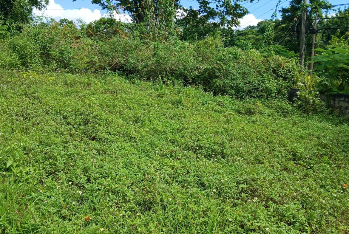 Second image of 17a&18a Maderia Road Grovemount in Grove Mount, Manchester, Jamaica - property is For Sale