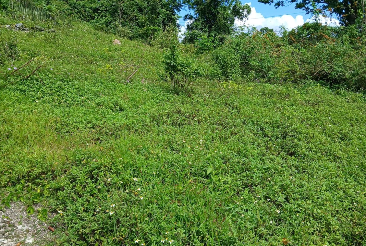 First image of 17a&18a Maderia Road Grovemount in Grove Mount, Manchester, Jamaica - property is For Sale