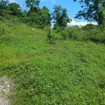 First image of 17a&18a Maderia Road Grovemount in Grove Mount, Manchester, Jamaica - property is For Sale