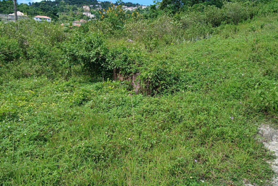 Third image of 17a&18a Maderia Road Grovemount in Grove Mount, Manchester, Jamaica - property is For Sale