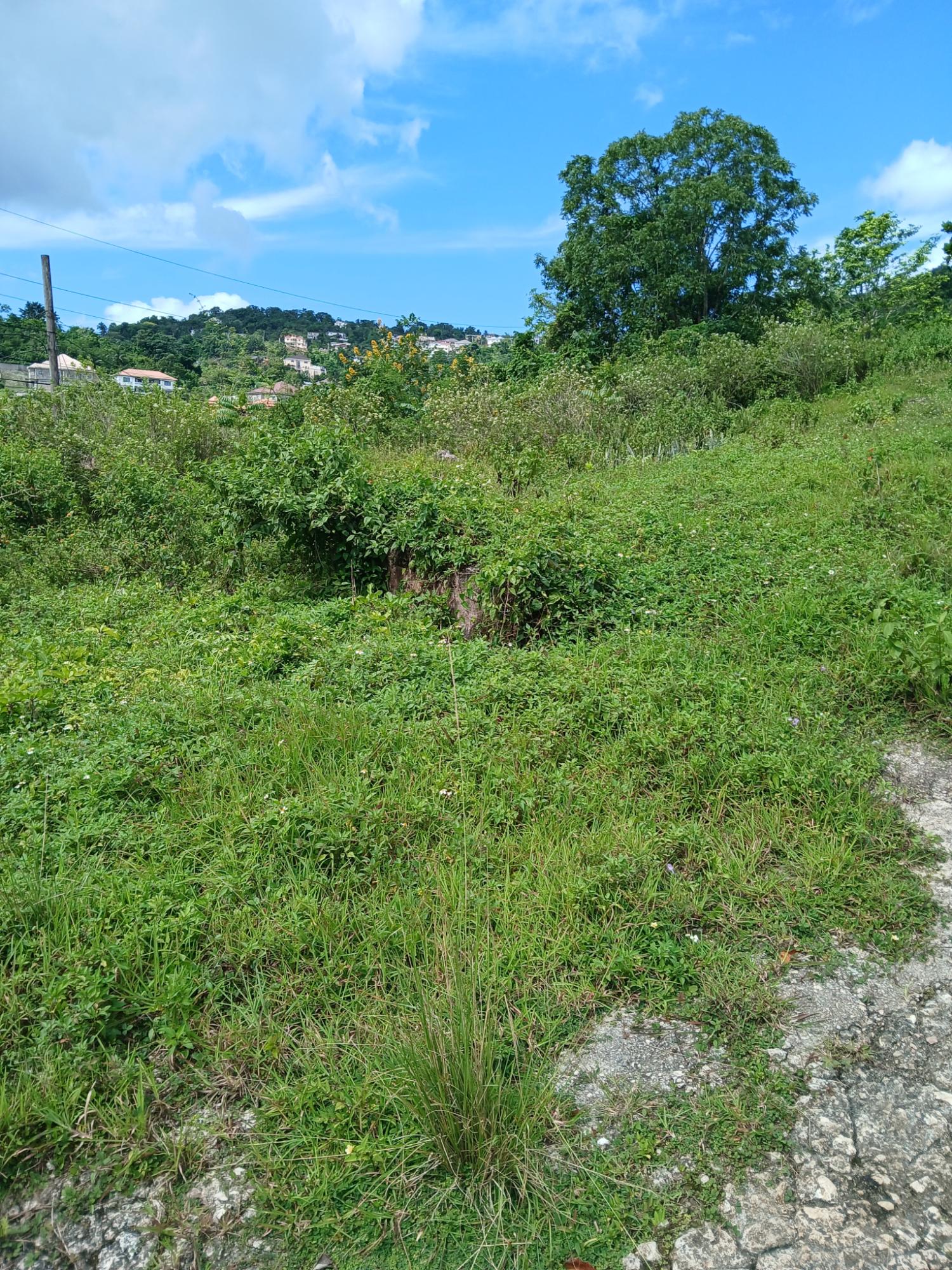 Third image of 17a&18a Maderia Road Grovemount in Grove Mount, Manchester, Jamaica - property is For Sale