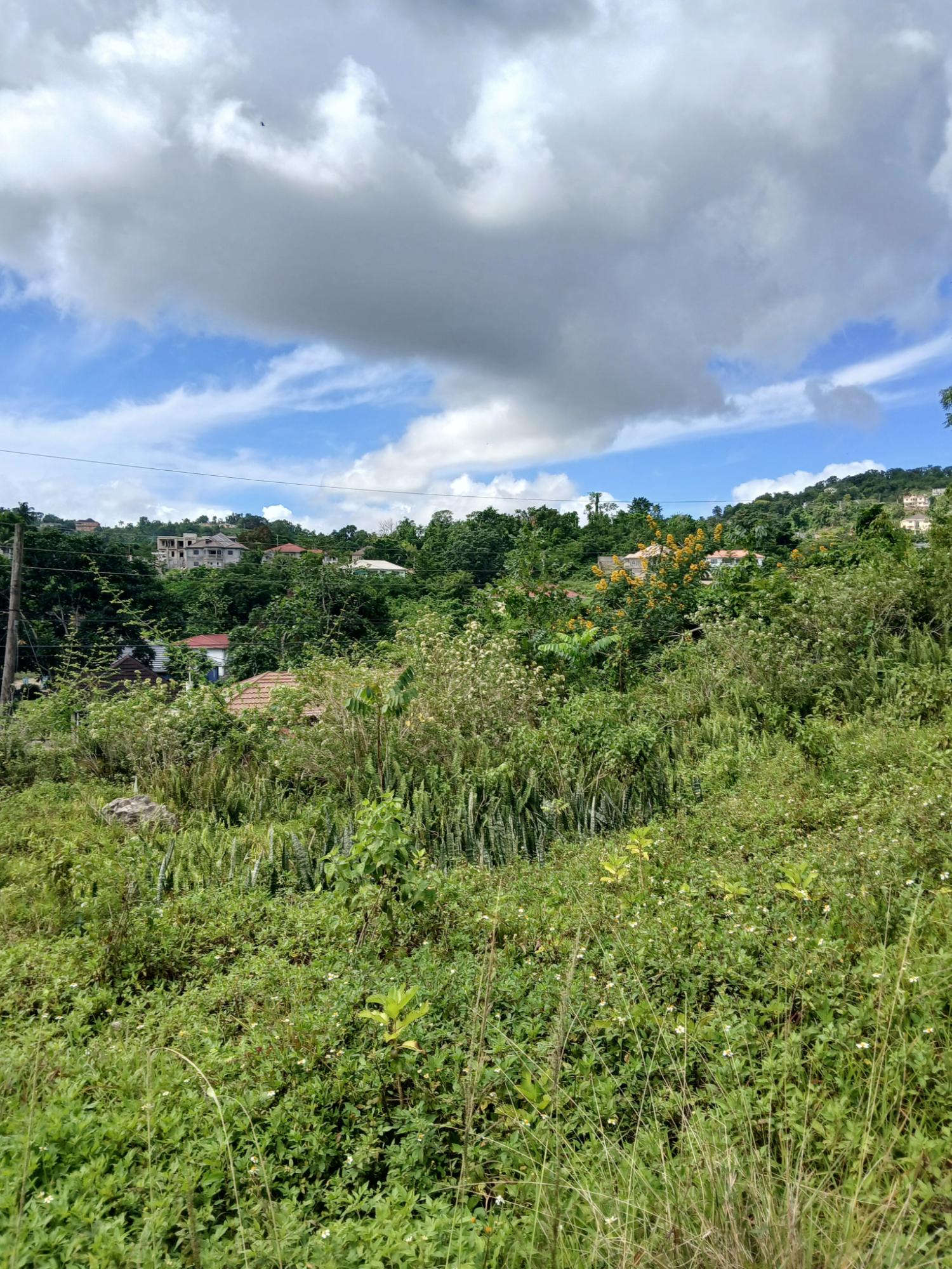 Fourth image of 17a&18a Maderia Road Grovemount in Grove Mount, Manchester, Jamaica - property is For Sale