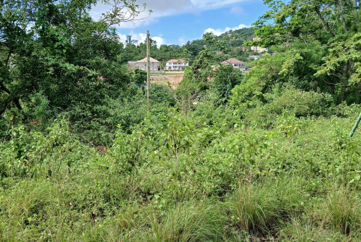 Sixth image of 17a&18a Maderia Road Grovemount in Grove Mount, Manchester, Jamaica - property is For Sale
