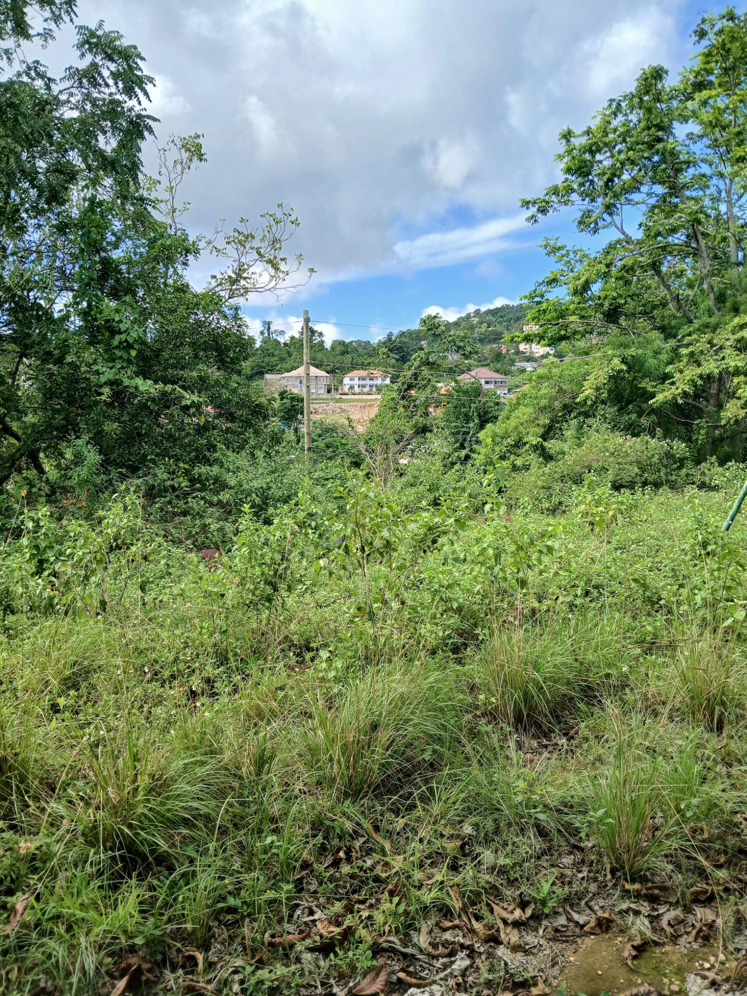 Sixth image of 17a&18a Maderia Road Grovemount in Grove Mount, Manchester, Jamaica - property is For Sale