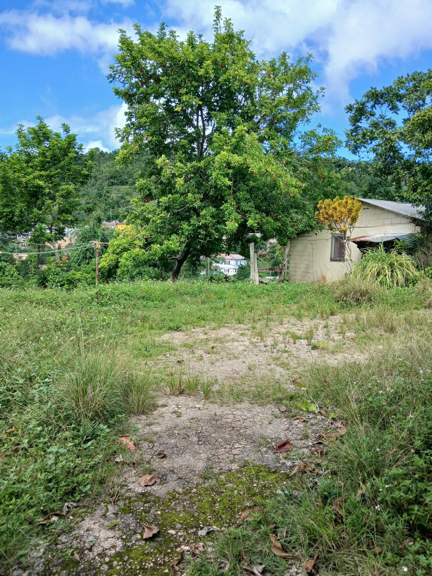 Seventh image of 17a&18a Maderia Road Grovemount in Grove Mount, Manchester, Jamaica - property is For Sale